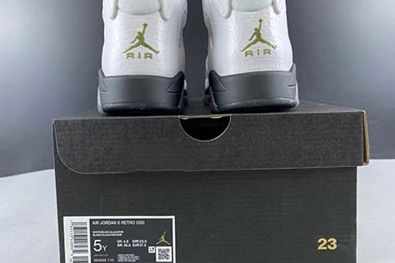 Master copy WellDesigned 9815 Air Jordan 6 GS “Alligator” 384665-110