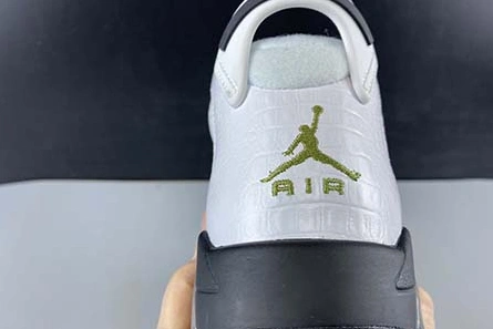 Master copy WellDesigned 9815 Air Jordan 6 GS “Alligator” 384665-110