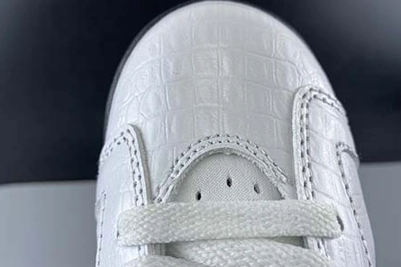 Master copy WellDesigned 9815 Air Jordan 6 GS “Alligator” 384665-110