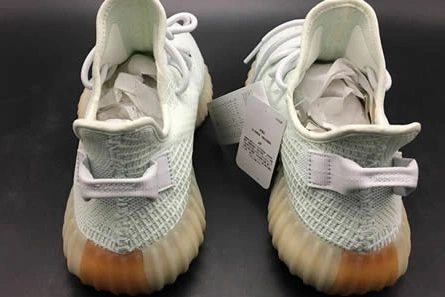 Yeezy Boost 350 V2 True Form EG7492 Functional 1381