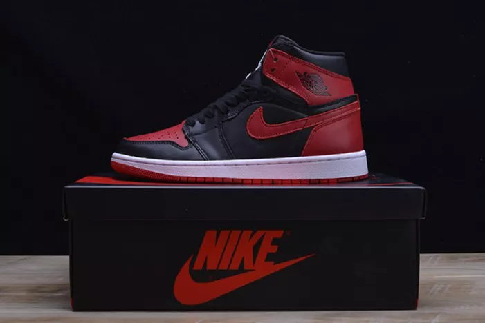 AIR JORDAN 1 RETRO DailyWear 338