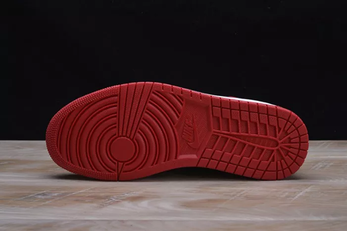 AIR JORDAN 1 RETRO DailyWear 338
