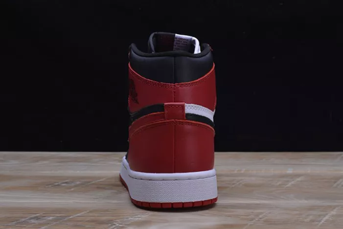 AIR JORDAN 1 RETRO DailyWear 338