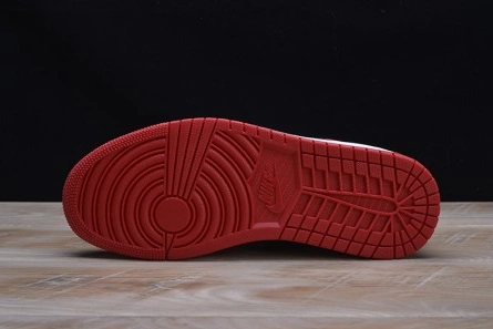 AIR JORDAN 1 RETRO DailyWear 338