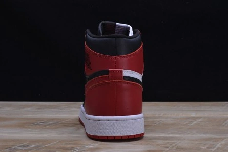 AIR JORDAN 1 RETRO DailyWear 338