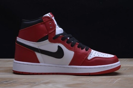 AIR JORDAN 1 RETRO DailyWear 338