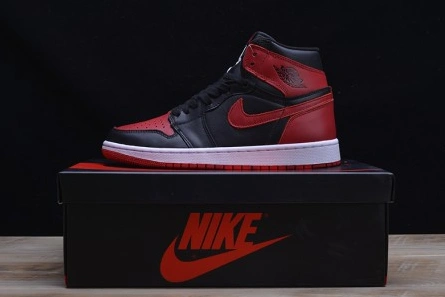 AIR JORDAN 1 RETRO DailyWear 338