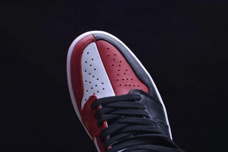 AIR JORDAN 1 RETRO DailyWear 338