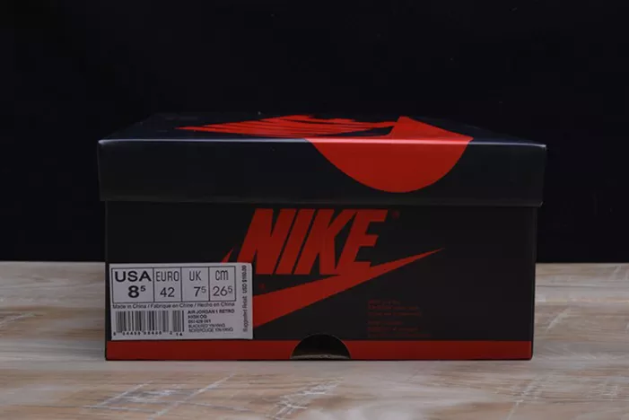Flexible AIR JORDAN 1 RETRO 285