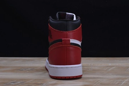 Flexible AIR JORDAN 1 RETRO 285
