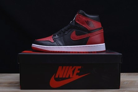 Flexible AIR JORDAN 1 RETRO 285