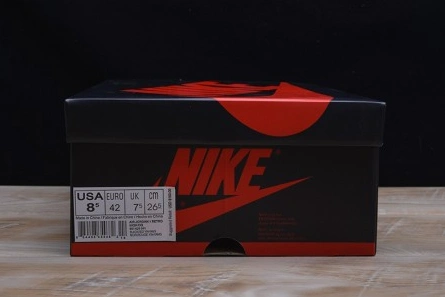 Flexible AIR JORDAN 1 RETRO 285