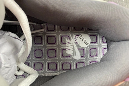 ModernLook 2235 Nike SB Dunk Low Purple Pigeon 304292- 977