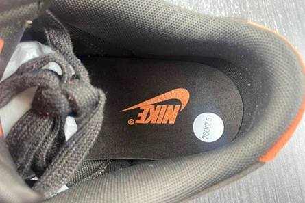 452 Nike Dunk Low Red Panda  FV0305- Cozy 989