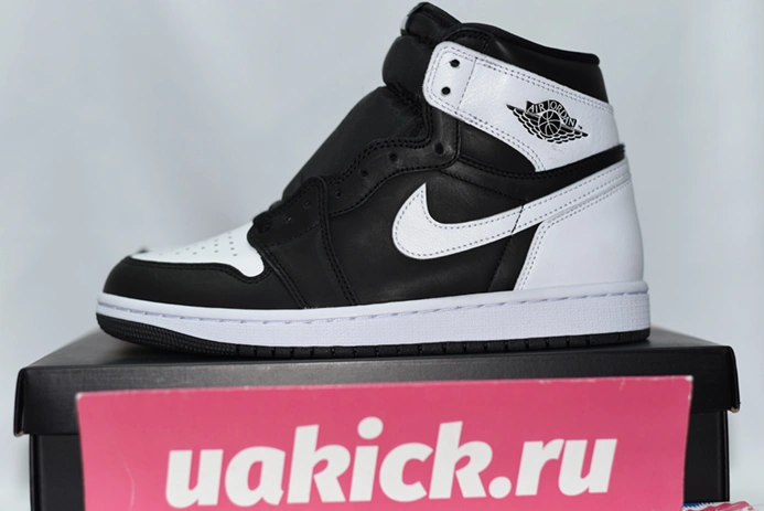 Cozy Air Jordan 1 High OG “Reverse Panda” DZ5485-010 65