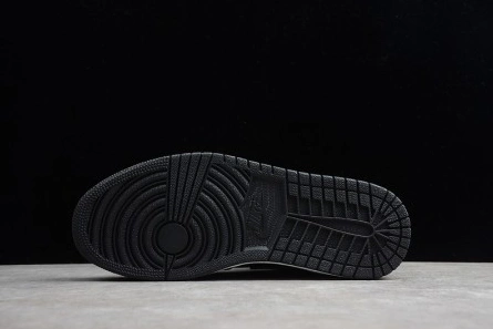 Classic Air Jordan 1 High OG 269