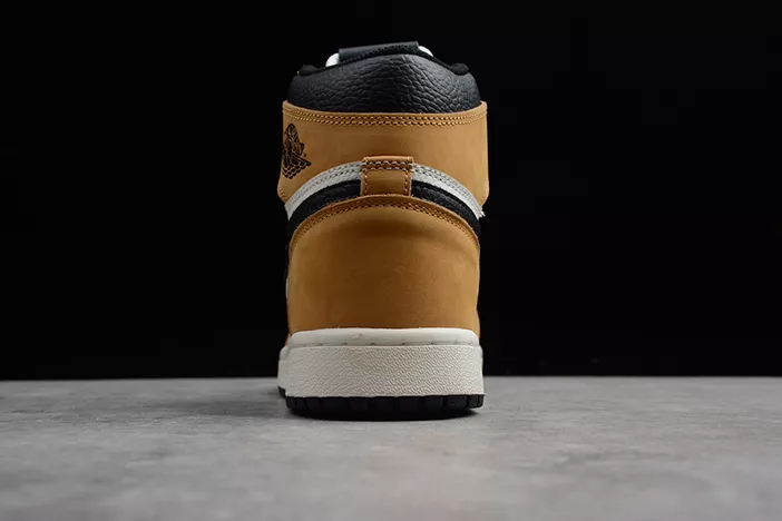 AllSeason Air Jordan 1 Retro High OG ROY 555088-700 333