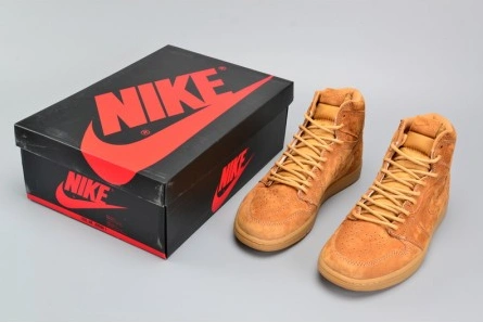 Stylish Air Jordan 1 Retro High OG 311