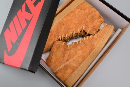 Stylish Air Jordan 1 Retro High OG 311