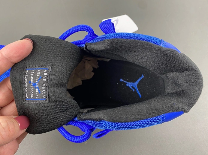 Compact Air Jordan 11 CT8012-400 671