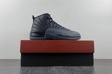 Lightweight Air Jordan 12 “Black Wolf Grey” CT8013-019 736