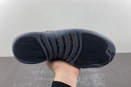 Lightweight Air Jordan 12 “Black Wolf Grey” CT8013-019 736