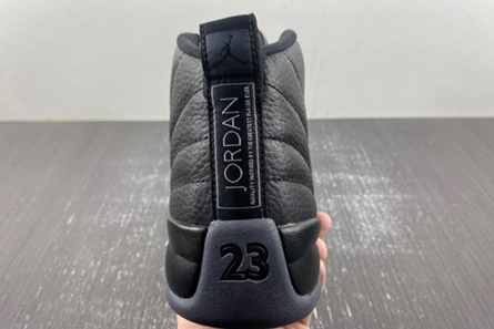 Lightweight Air Jordan 12 “Black Wolf Grey” CT8013-019 736