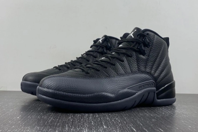 Lightweight Air Jordan 12 “Black Wolf Grey” CT8013-019 736