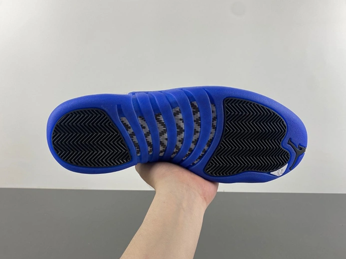 Air Jordan 12 CT8013 116 Stylish 730