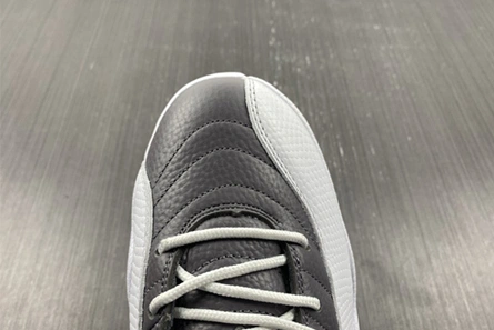 Air Jordan 12 STEALTH CT8025-610 Durable 754