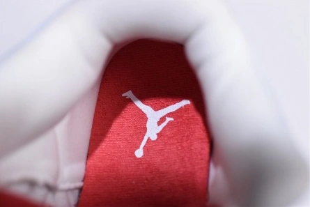 Air Jordan 3 Retro Hall of Fame GS 398614-116 Refined 447