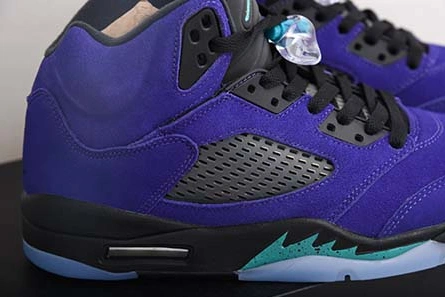 Air Jordan 5 “Alternate Grape” 136027-500 Classic 638