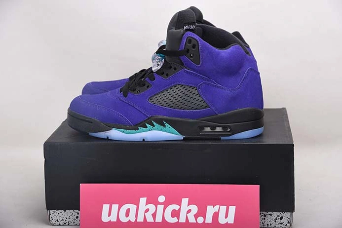Air Jordan 5 “Alternate Grape” 136027-500 Classic 638