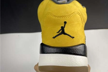 Air Jordan 5 Tokyo 454783-701 Minimalist 593
