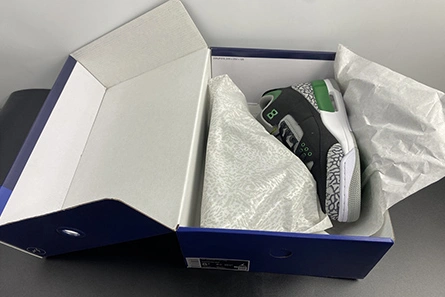 Sleek Air Jordan Retro 3 Pine Green CT8532-030 403