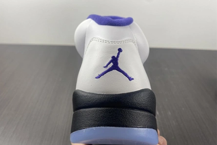 Fashionable Air Jordan5 CONCORD DD0587-141 587