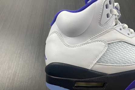 Fashionable Air Jordan5 CONCORD DD0587-141 587