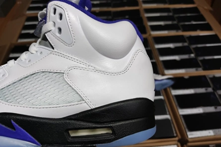 Fashionable Air Jordan5 CONCORD DD0587-141 587