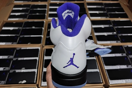 Fashionable Air Jordan5 CONCORD DD0587-141 587