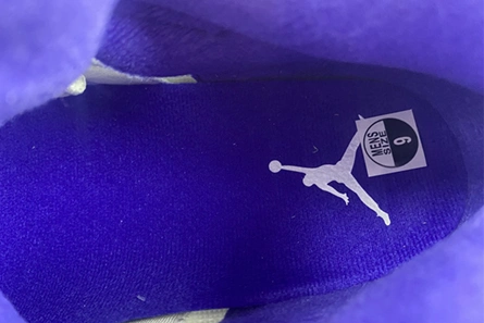 Fashionable Air Jordan5 CONCORD DD0587-141 587