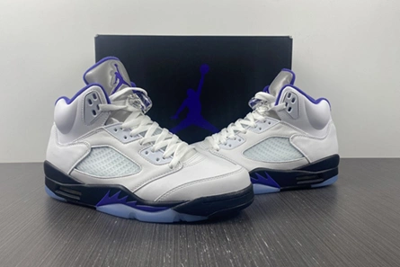 Fashionable Air Jordan5 CONCORD DD0587-141 587