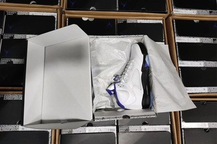 Fashionable Air Jordan5 CONCORD DD0587-141 587