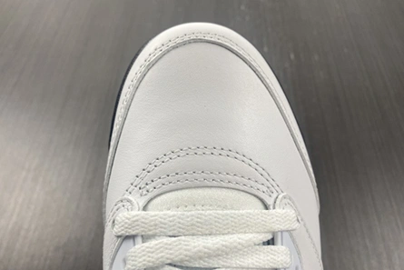 Fashionable Air Jordan5 CONCORD DD0587-141 587