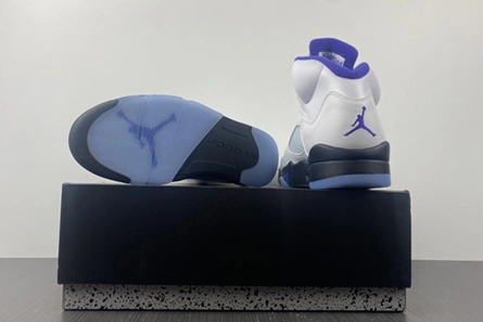 Fashionable Air Jordan5 CONCORD DD0587-141 587