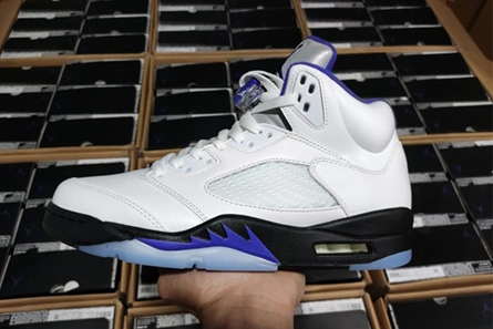 Fashionable Air Jordan5 CONCORD DD0587-141 587