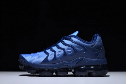 6195 Air VaporMax Plus Obsidian - 924453- Cozy 1492