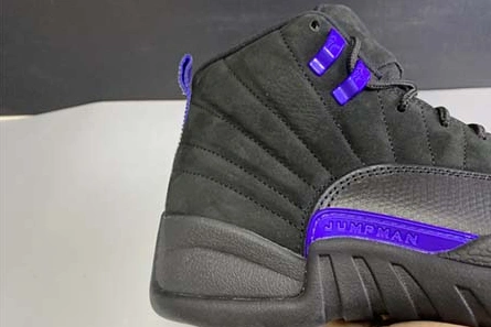 7363 Air Jordan 12 “Dark Concord” CT8013- Soft 762
