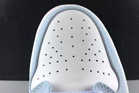 Flexible 8069 AIR JORDAN 1 cu2802- 248