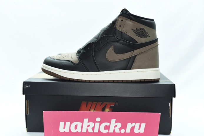 2446 Air Jordan 1 High OG “Palomino” DZ5485- UrbanStyle 92