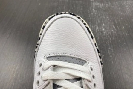 3402 Jordan 3 Retro Hide N' Sneak  DX6665- DailyWear 385